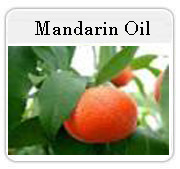 Mandarin Oil
