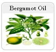 Bergamot Oil, Essential oil India