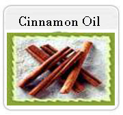 Cinnamon Essential oil